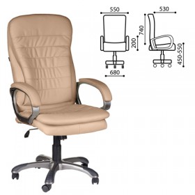Кресло офисное BRABIX Omega EX-589 в Боготоле - bogotol.katalogmebeli.com | фото 1