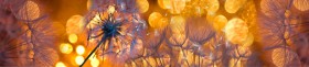 Кухонный фартук Мерцание Одуванчики золотистые 3 серебро в Боготоле - bogotol.katalogmebeli.com | фото 1