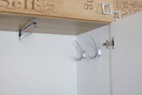 Шкаф для одежды «Оксфорд» (Ривьера/Белый с рисунком) в Боготоле - bogotol.katalogmebeli.com | фото 7